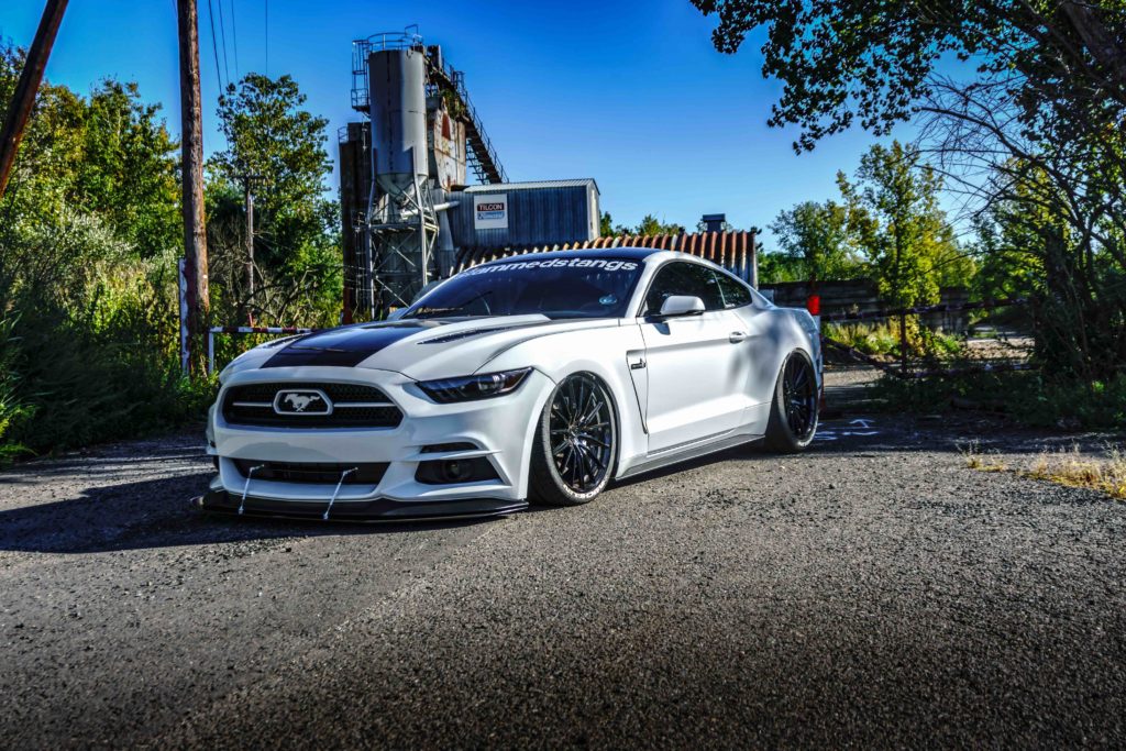 terminated_stang-3